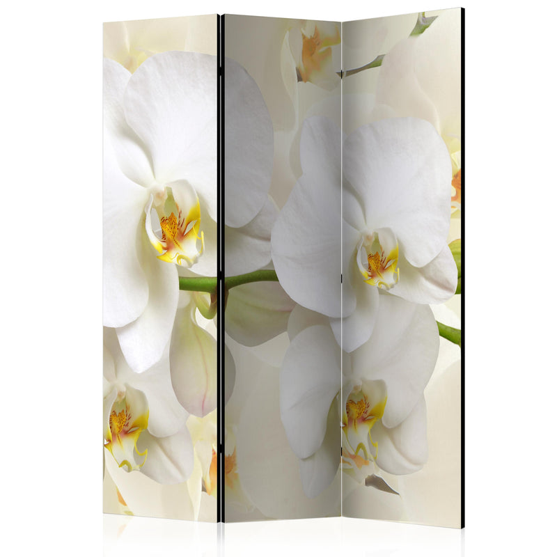 Aizslietnis 3-daļīgs - Orhideju zars (135x172cm) 135x172 cm Home Trends