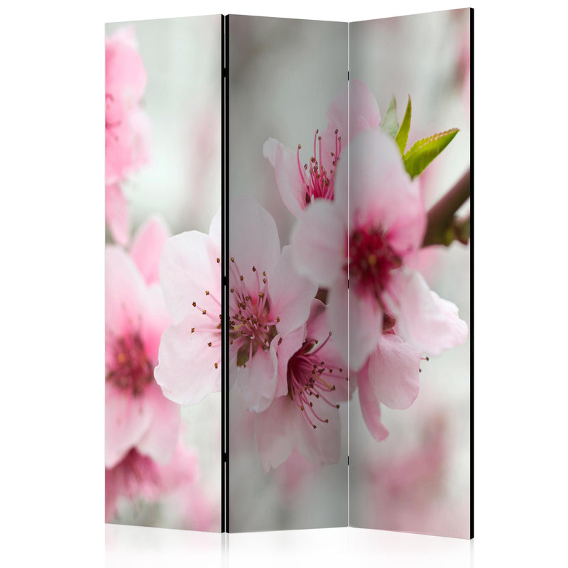 Aizslietnis 3-daļīgs - Pavasaris, ziedošs koks - rozā ziedi (135x172cm) 135x172 cm Home Trends