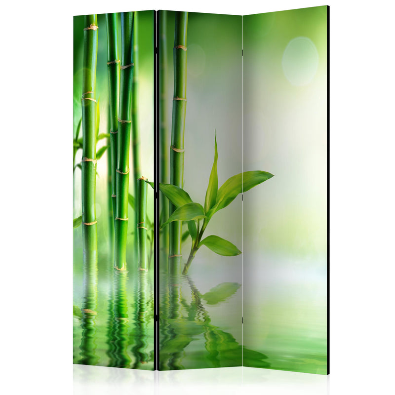 Aizslietnis 3-daļīgs - Zaļais bambuss (135x172cm) 135x172 cm Home Trends