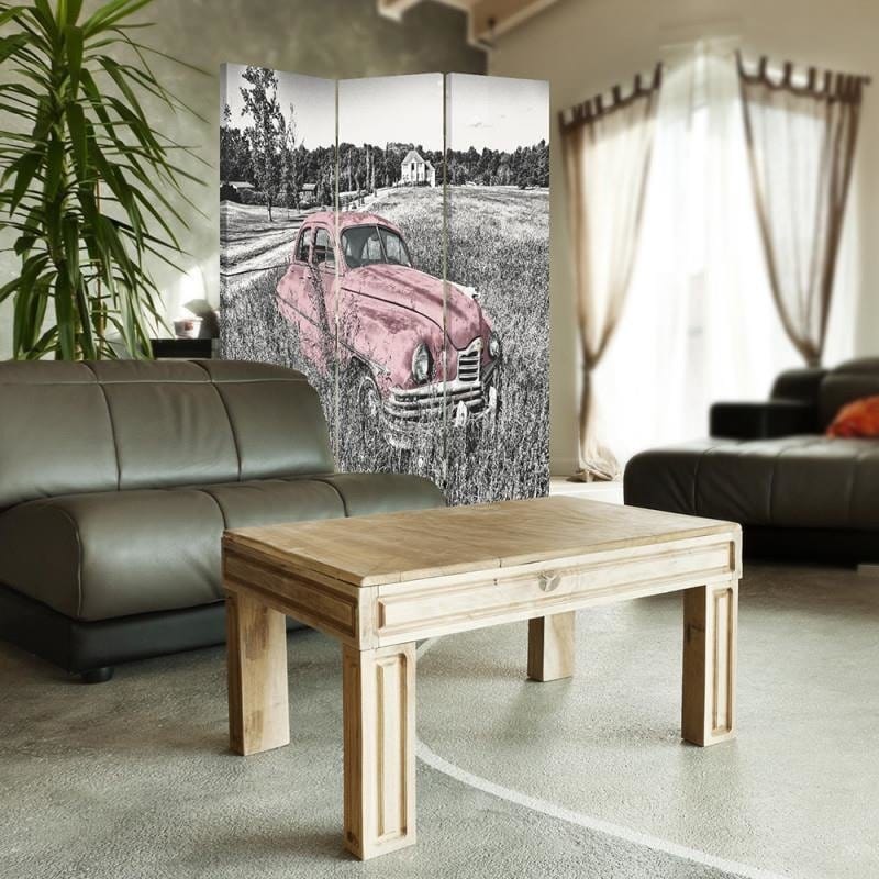Aizslietnis, 3 paneļi, Divpusējs, Kanva, Pink Car In A Field  Home Trends