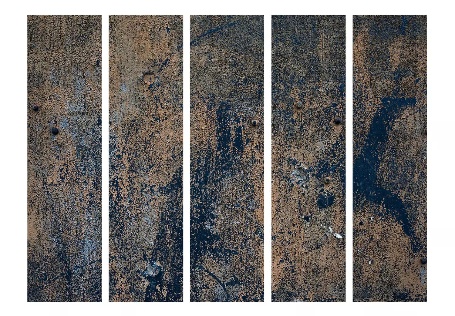 Aizslietnis 5-daļīgs - Aizvēsturiska deja, (225x172cm) Home Trends