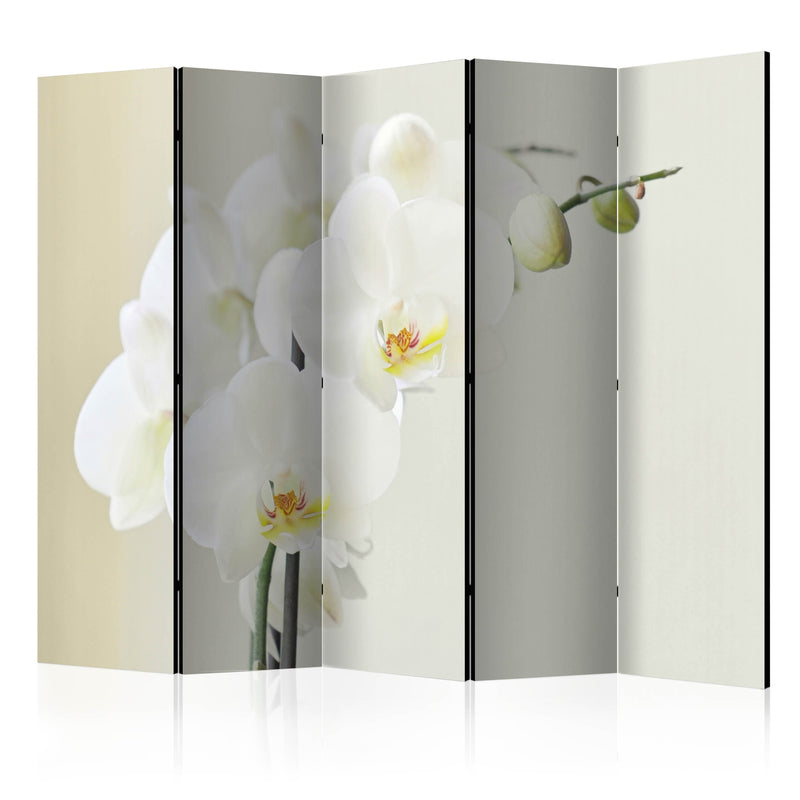 Aizslietnis 5-daļīgs - Baltā orhideja (225x172cm) 225x172 cm Home Trends