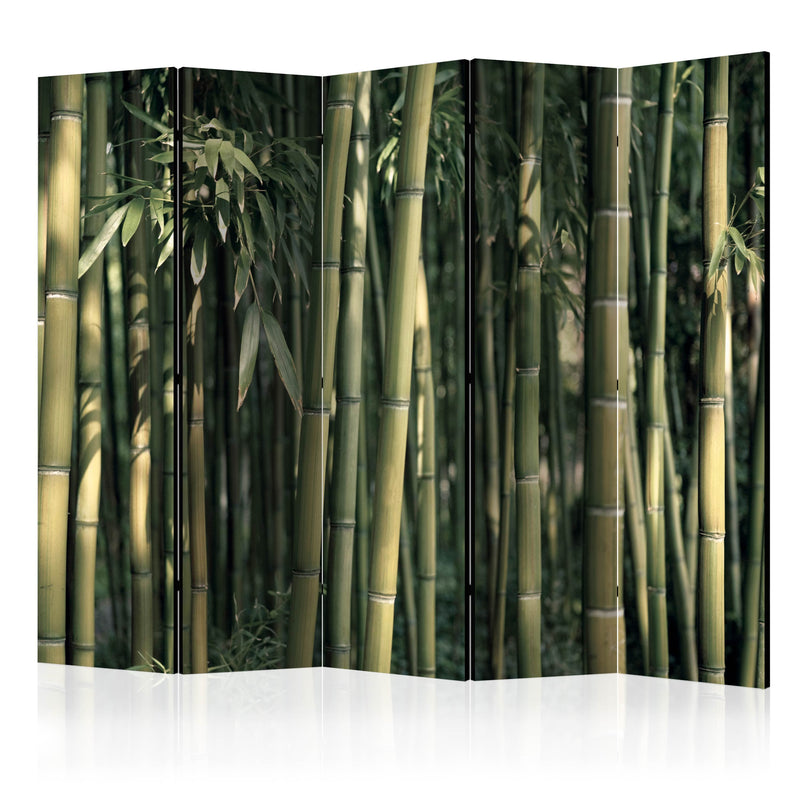 Aizslietnis 5-daļīgs - Bambusa eksotika (225x172cm) 225x172 cm Home Trends