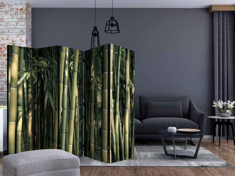 Aizslietnis 5-daļīgs - Bambusa eksotika (225x172cm) 225x172 cm Home Trends