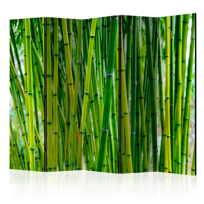 Aizslietnis 5-daļīgs - Bambusa mežs (225x172cm) 225x172 cm Home Trends