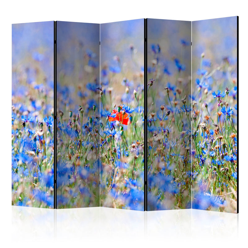Aizslietnis 5-daļīgs - Debess krāsas pļava - rudzupuķes (225x172cm) 225x172 cm Home Trends
