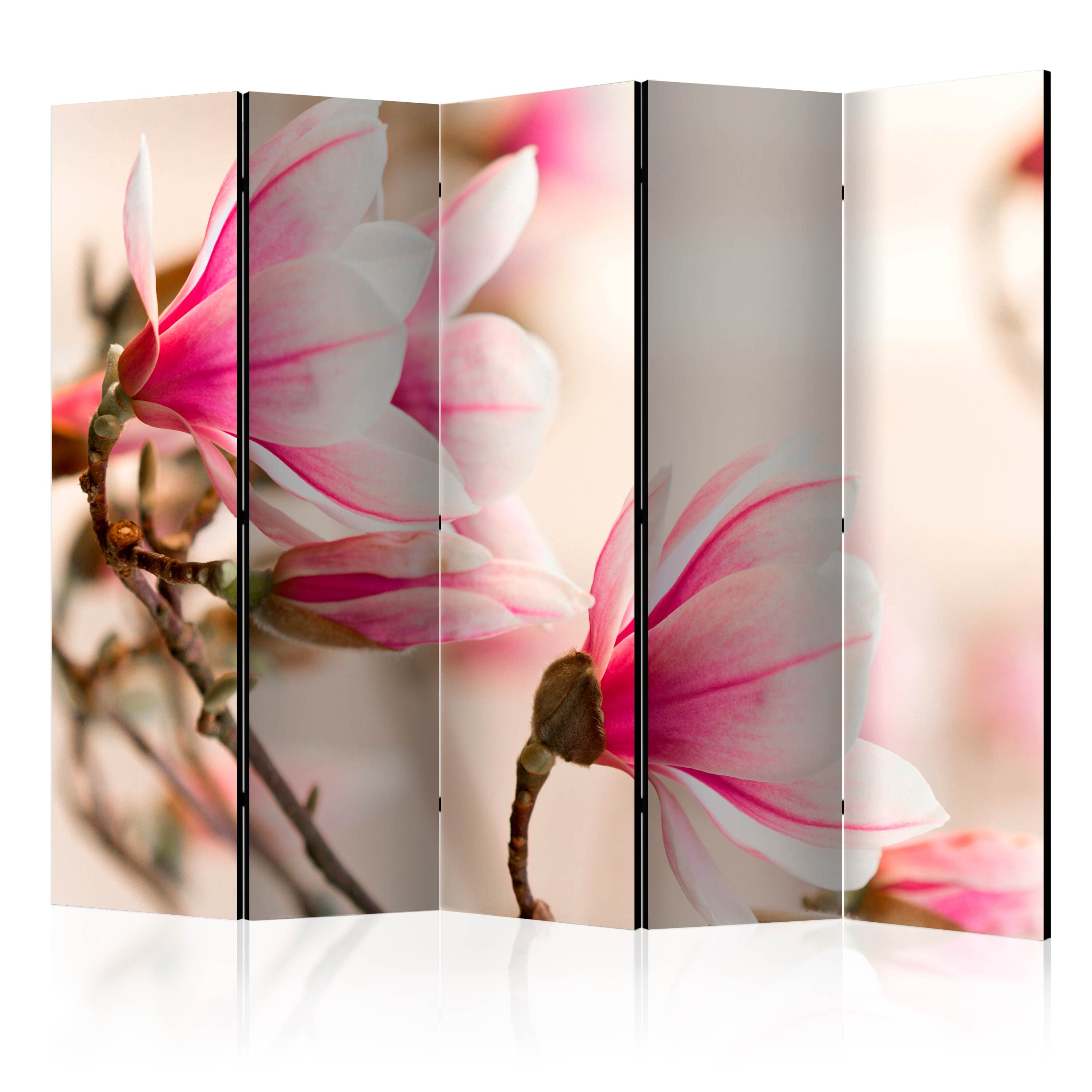 Aizslietnis 5-daļīgs - Magnolijas zariņš (225x172cm) 225x172 cm Home Trends