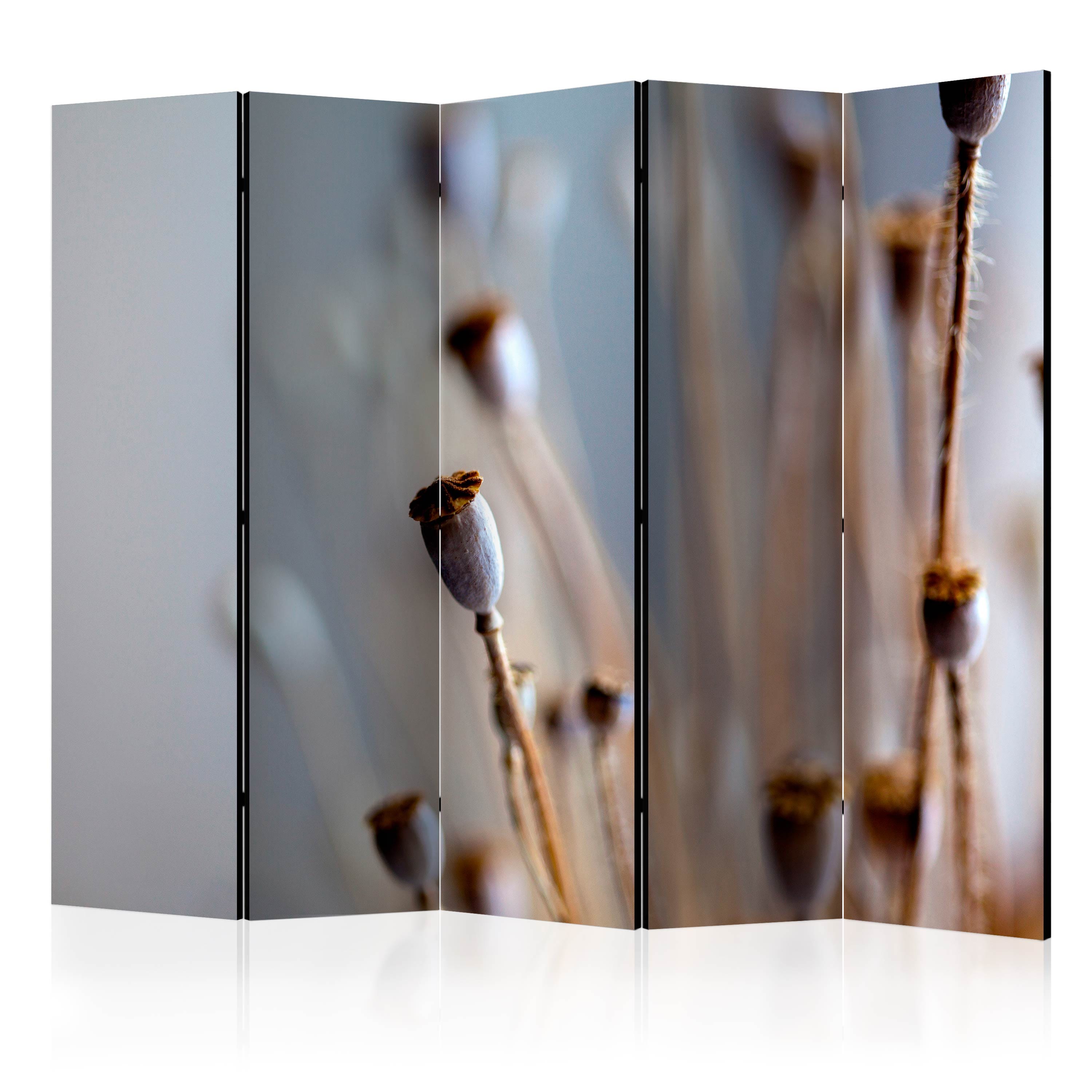 Aizslietnis 5-daļīgs - Magoņu galviņas (225x172cm) 225x172 cm Home Trends