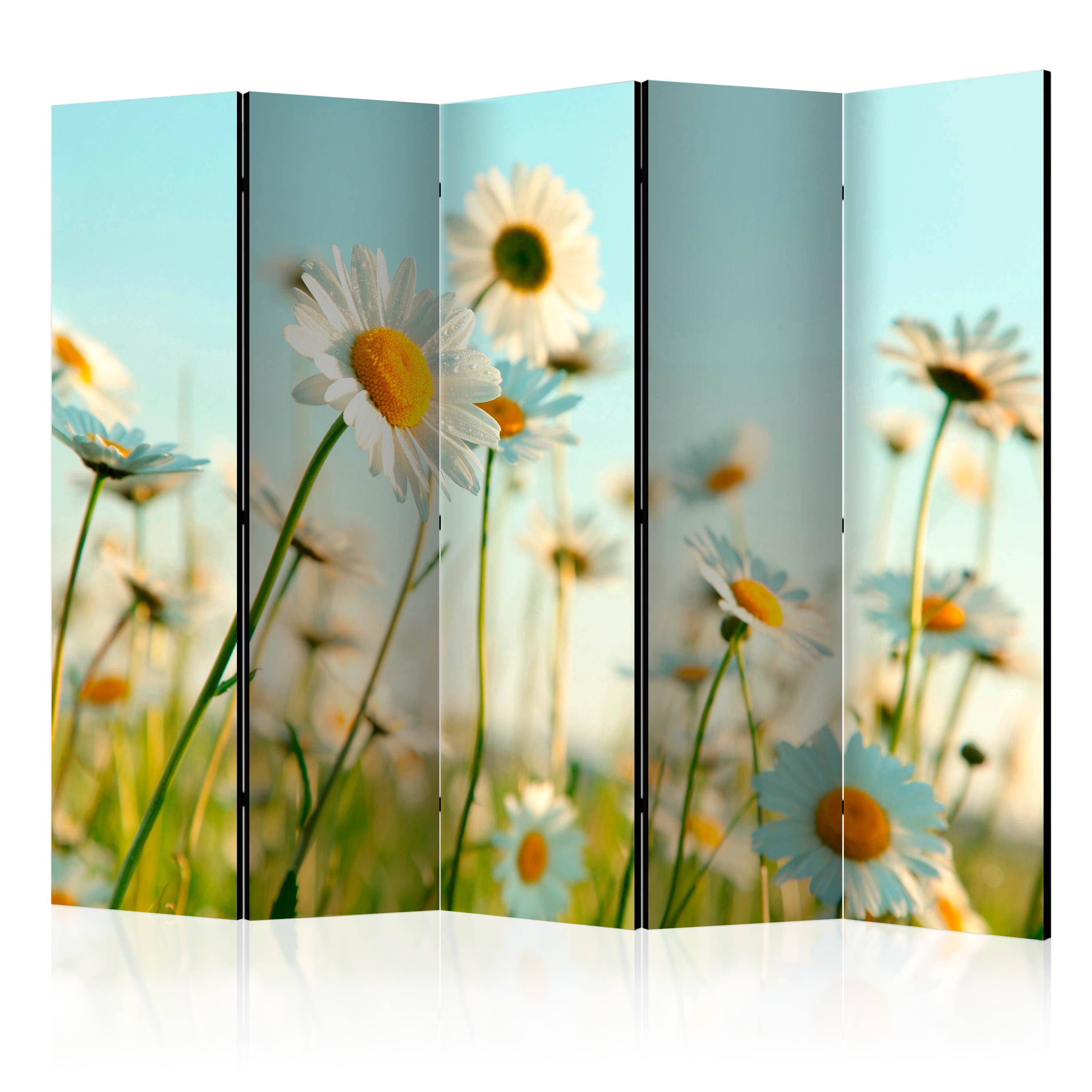 Aizslietnis 5-daļīgs - Margrietiņas - pavasara pļava 4. versija (225x172cm) 225x172 cm Home Trends