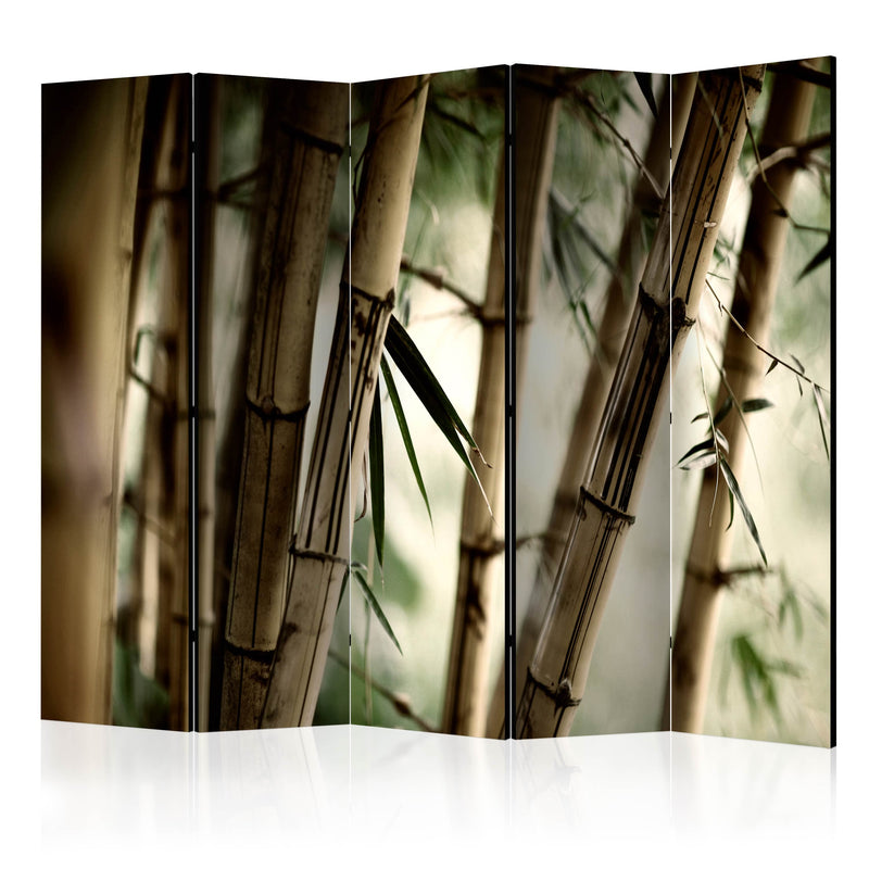 Aizslietnis 5-daļīgs - Migla un bambusa mežs (225x172cm) 225x172 cm Home Trends