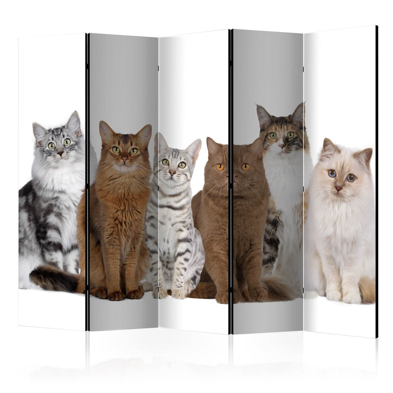 Aizslietnis 5-daļīgs - Mīļie kaķi (225x172cm) 225x172 cm Home Trends