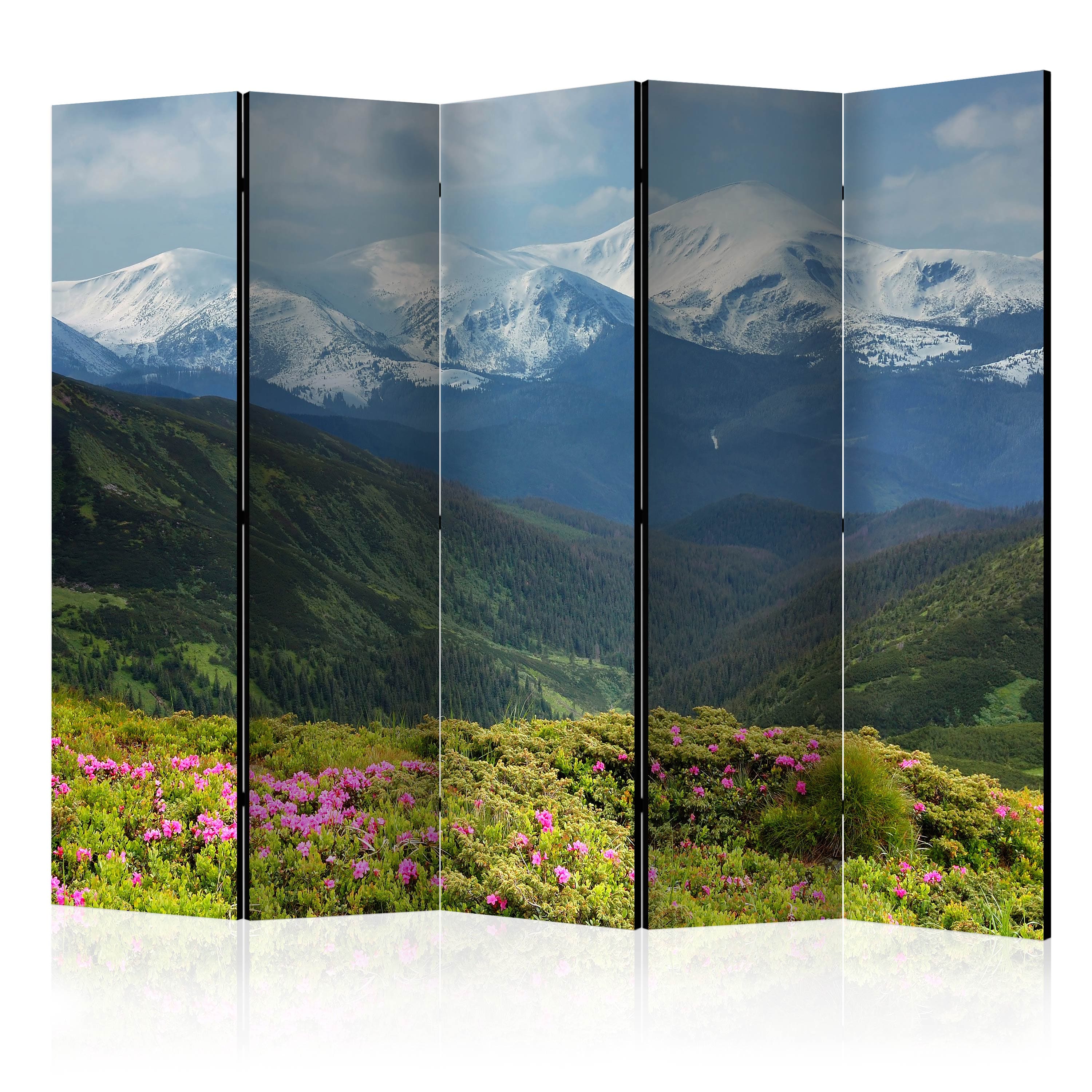 Aizslietnis 5-daļīgs - Pavasara kalnu ainava (225x172cm) 225x172 cm Home Trends