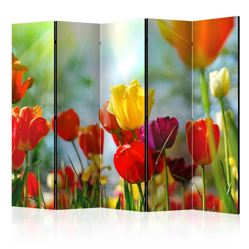 Aizslietnis 5-daļīgs - Pavasara tulpes (225x172cm) 225x172 cm Home Trends