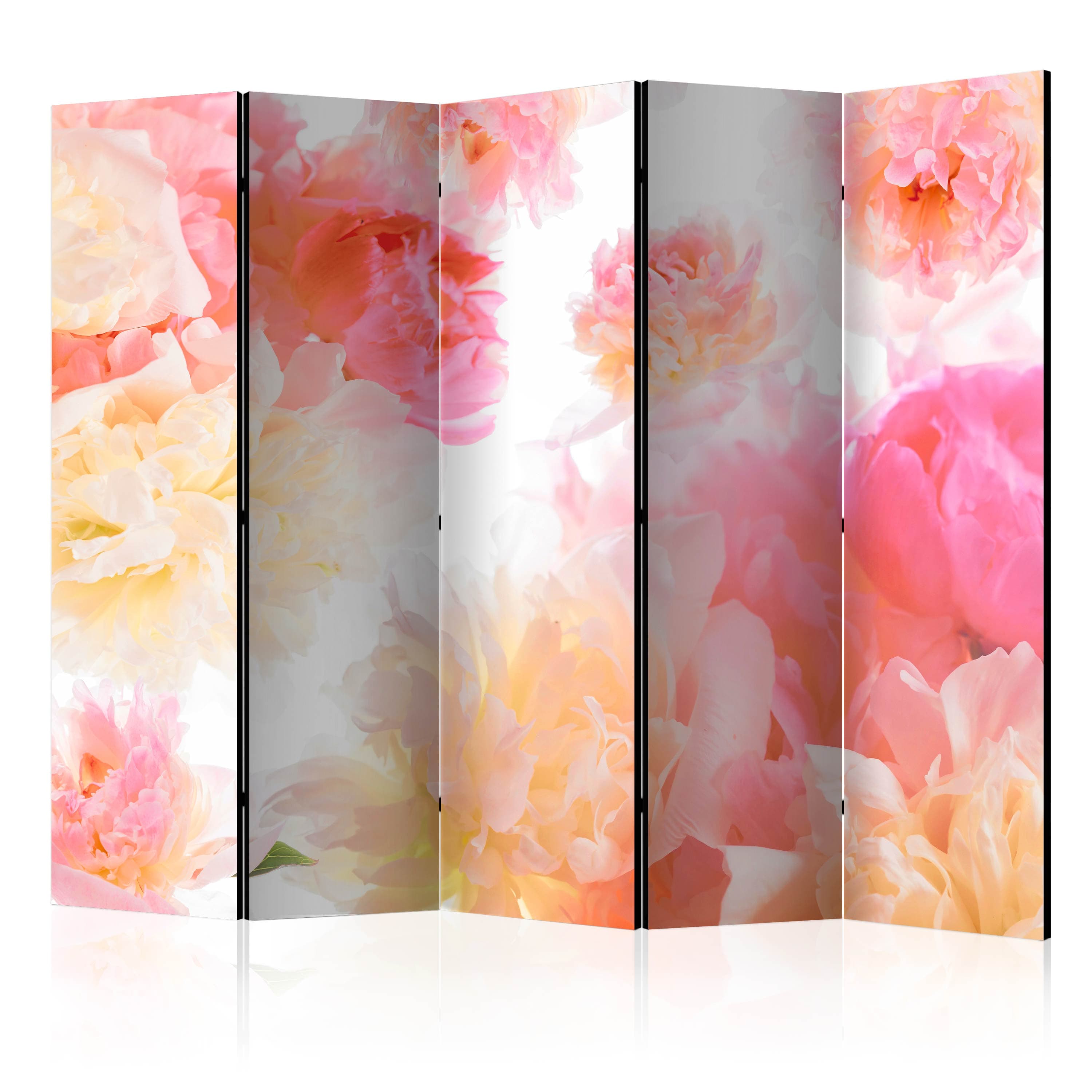 Aizslietnis 5-daļīgs - Peonijas pasteļtoņos (225x172cm) 225x172 cm Home Trends