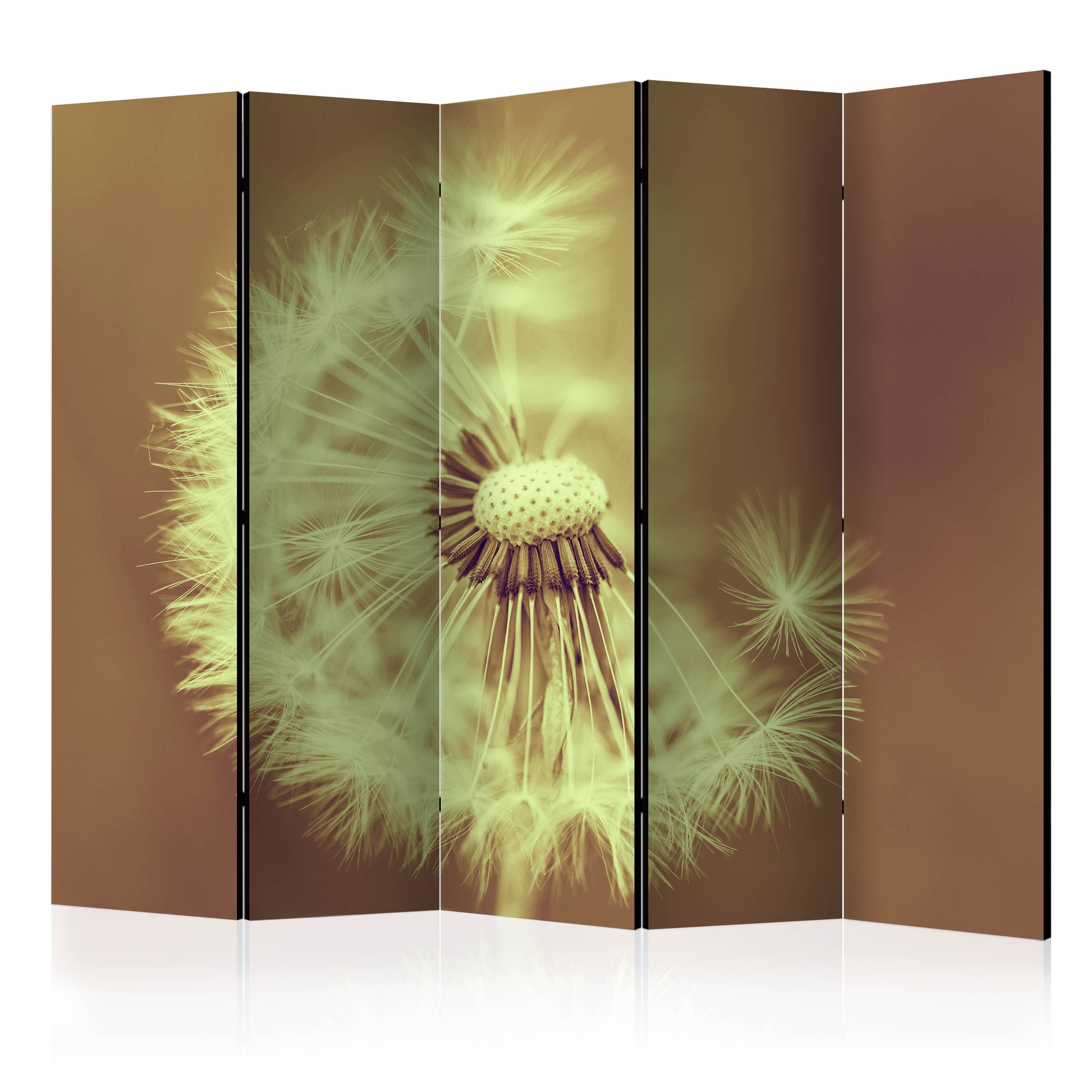 Aizslietnis 5-daļīgs - Pienene ( sēpijas krāsā) (225x172cm) 225x172 cm Home Trends