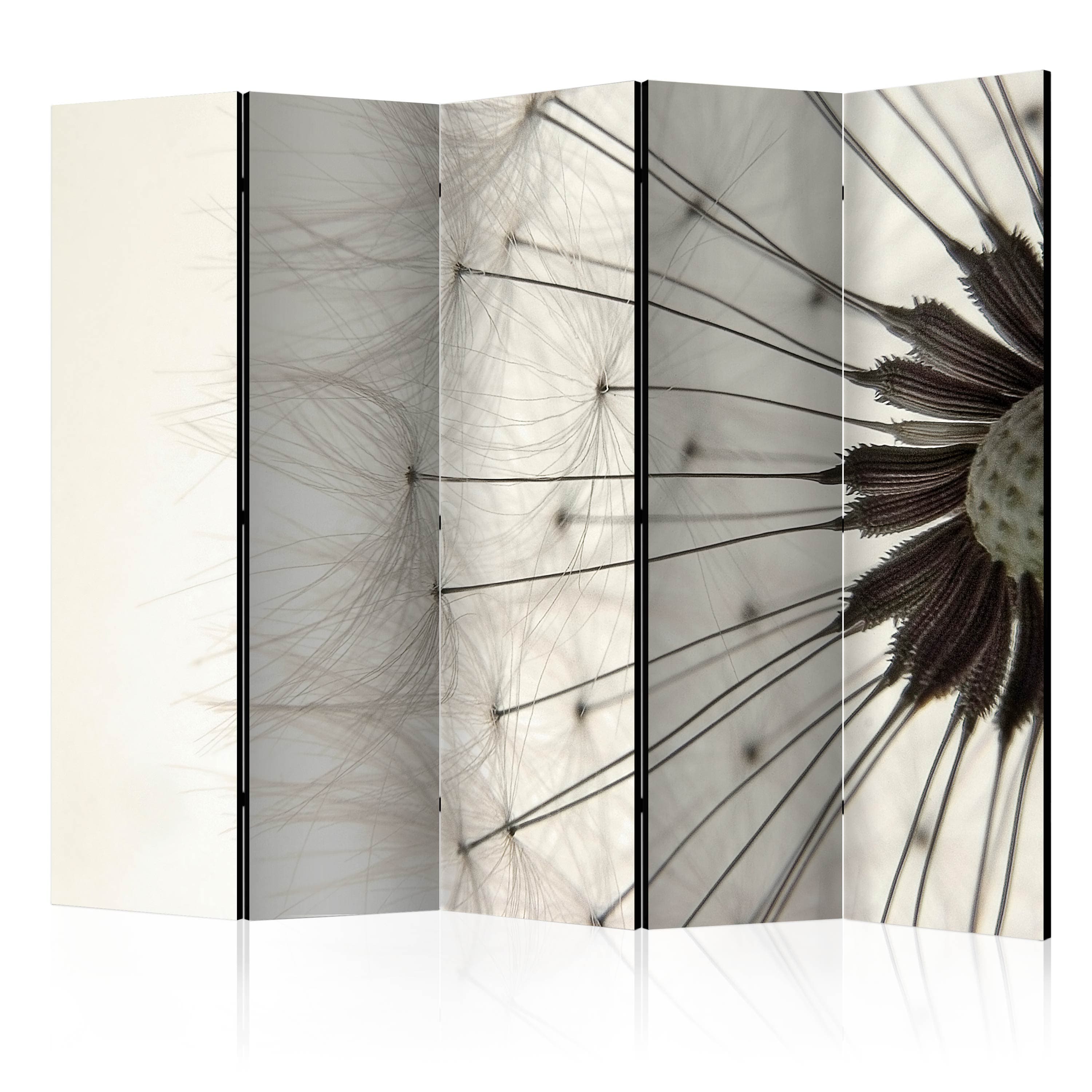 Aizslietnis 5-daļīgs - Pienenes sēklu galviņa (225x172cm) 225x172 cm Home Trends