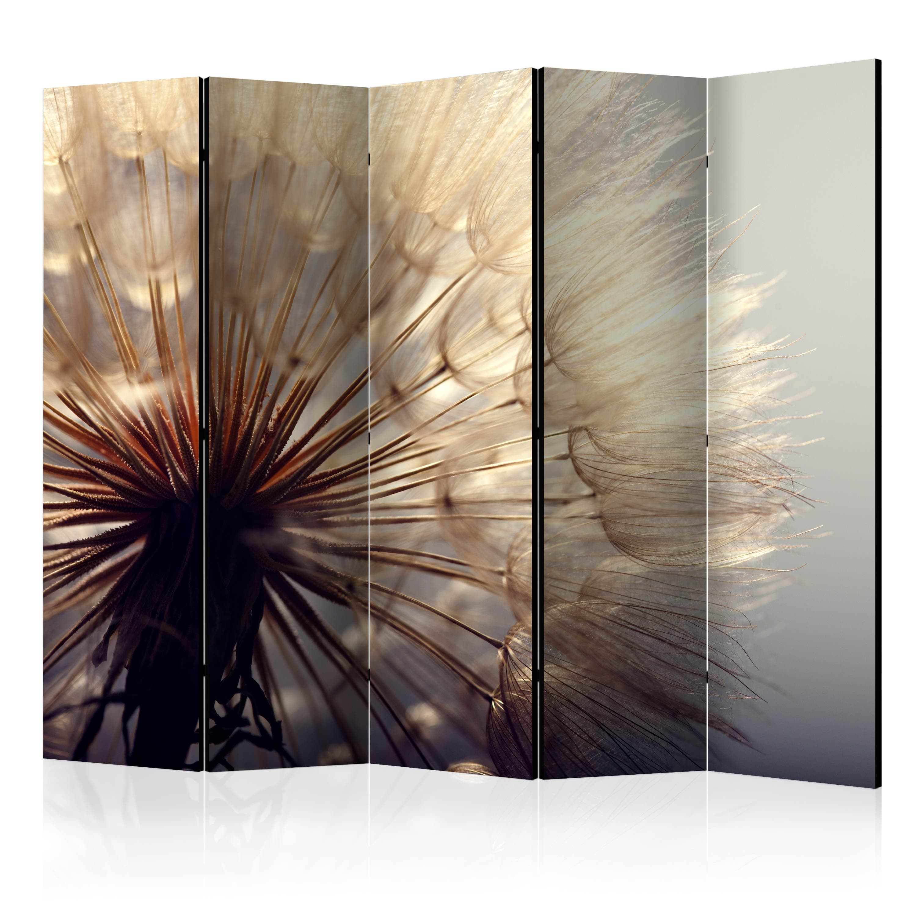Aizslietnis 5-daļīgs - Pienenes skūpsts (225x172cm) 225x172 cm Home Trends