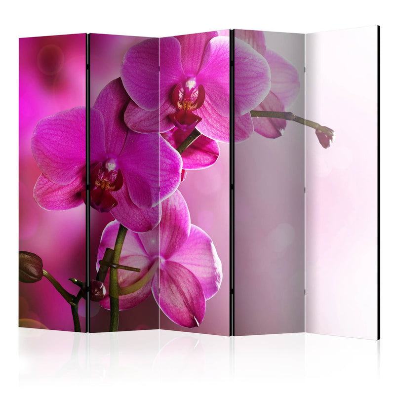 Aizslietnis 5-daļīgs - Rozā orhideja (225x172cm) 225x172 cm Home Trends