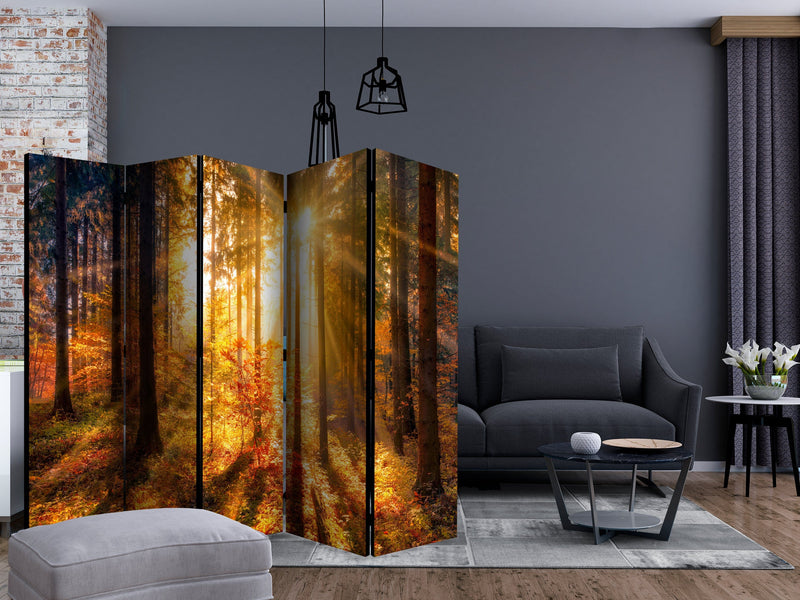 Aizslietnis 5-daļīgs - Rudens atmoda (225x172cm) 225x172 cm Home Trends