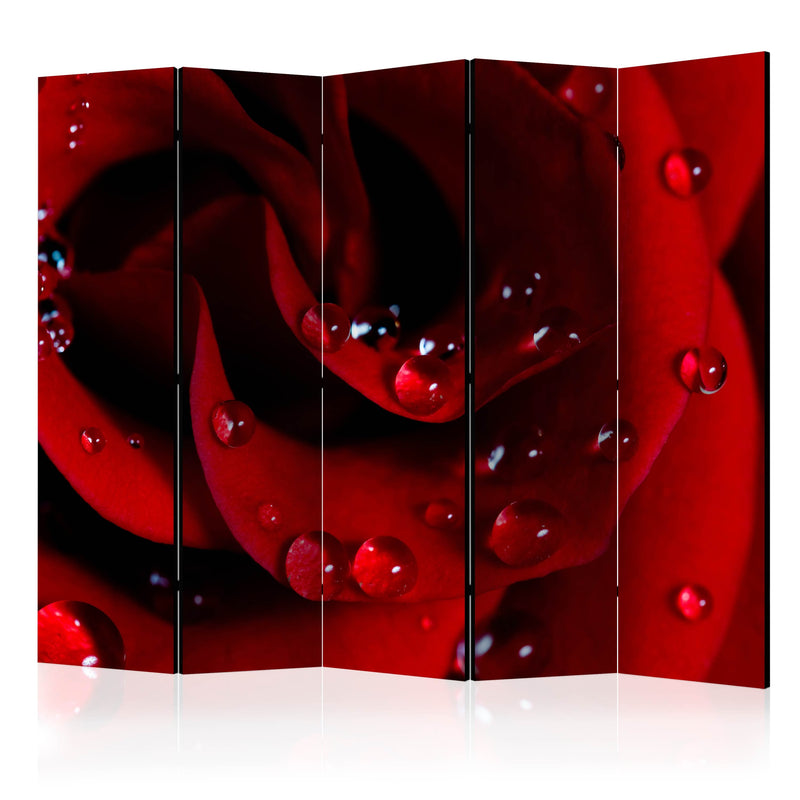 Aizslietnis 5-daļīgs - Sarkana roze ar ūdens pilieniem (225x172cm) 225x172 cm Home Trends