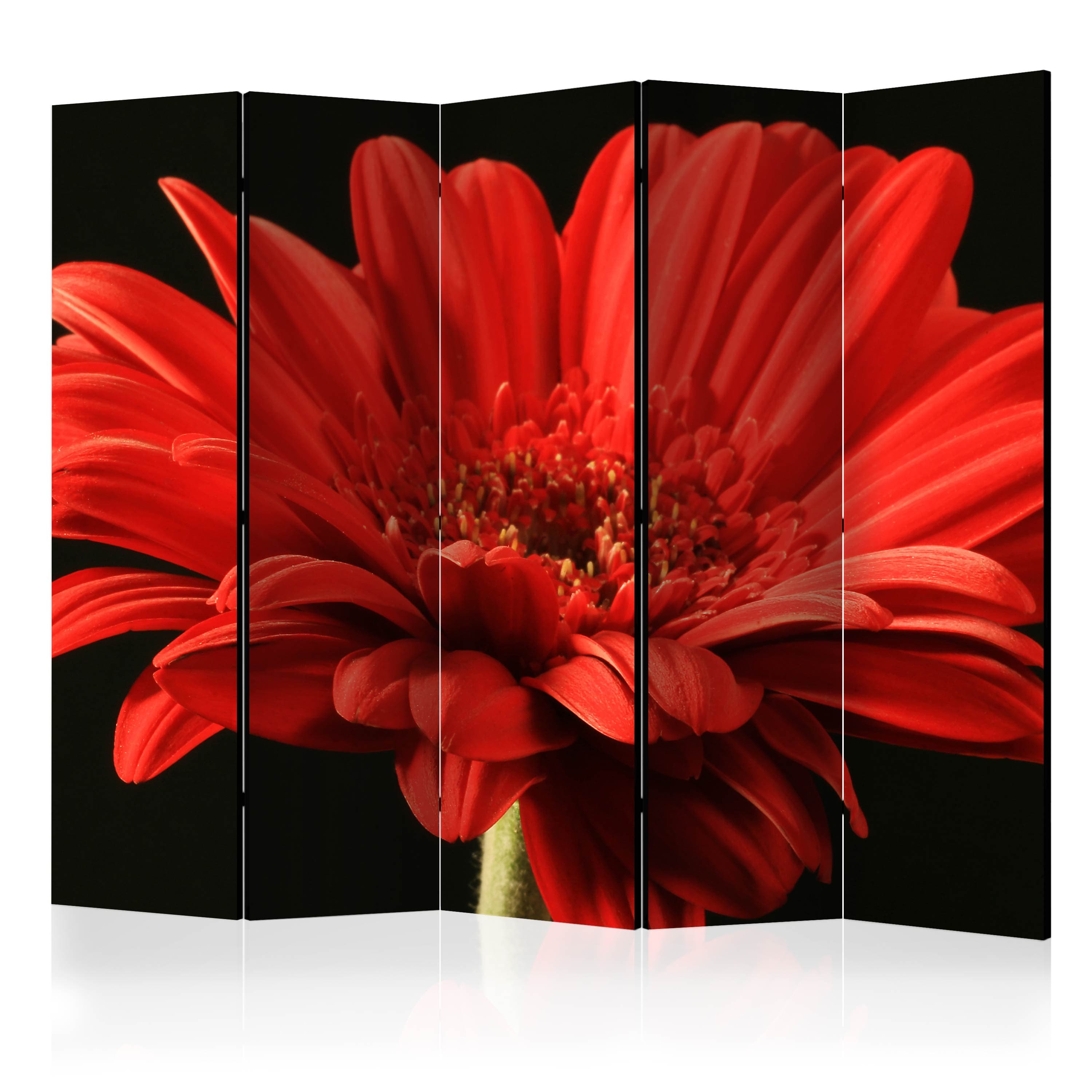 Aizslietnis 5-daļīgs - Sarkans gerberas zieds (225x172cm) 225x172 cm Home Trends