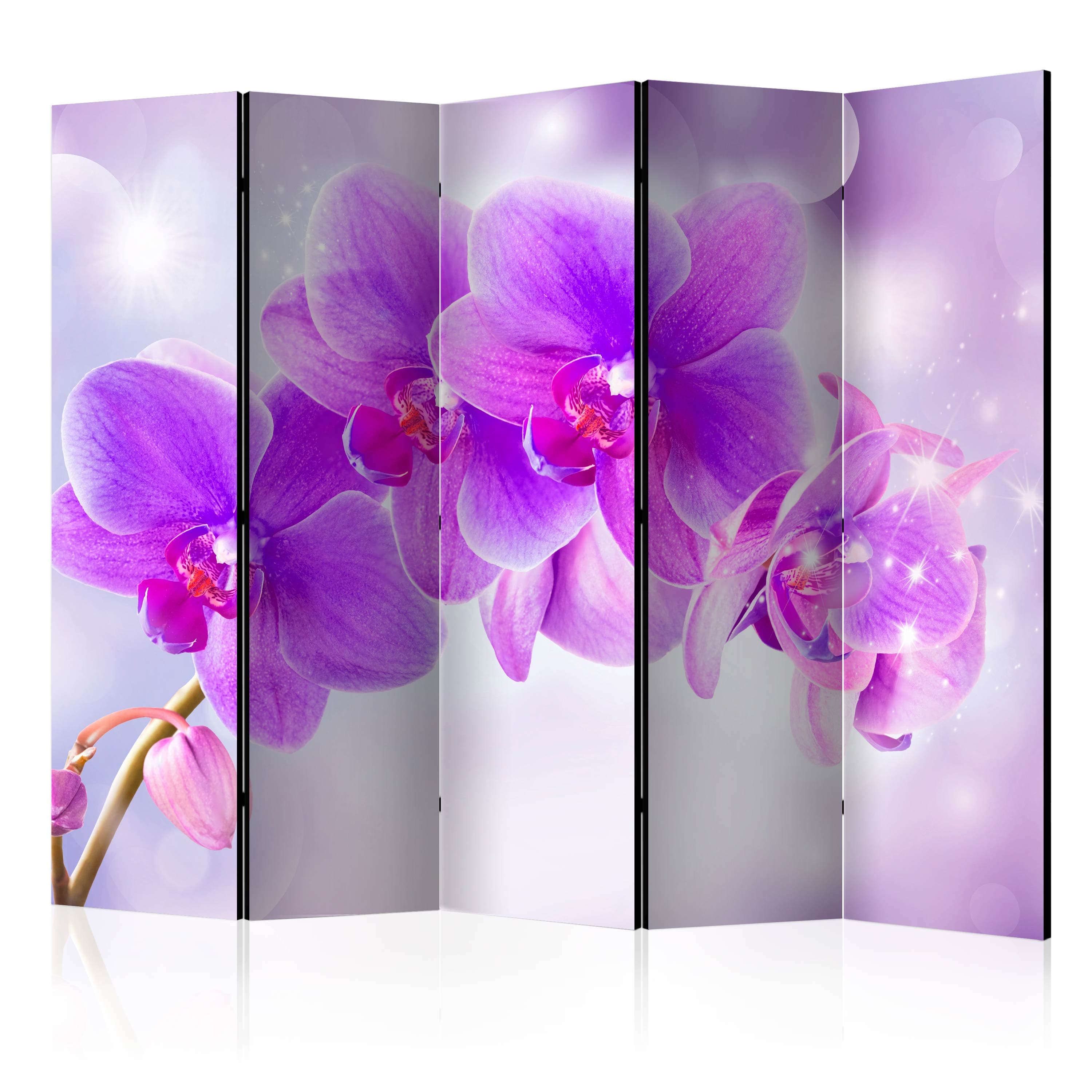 Aizslietnis 5-daļīgs - Violetās orhidejas (225x172cm) 225x172 cm Home Trends