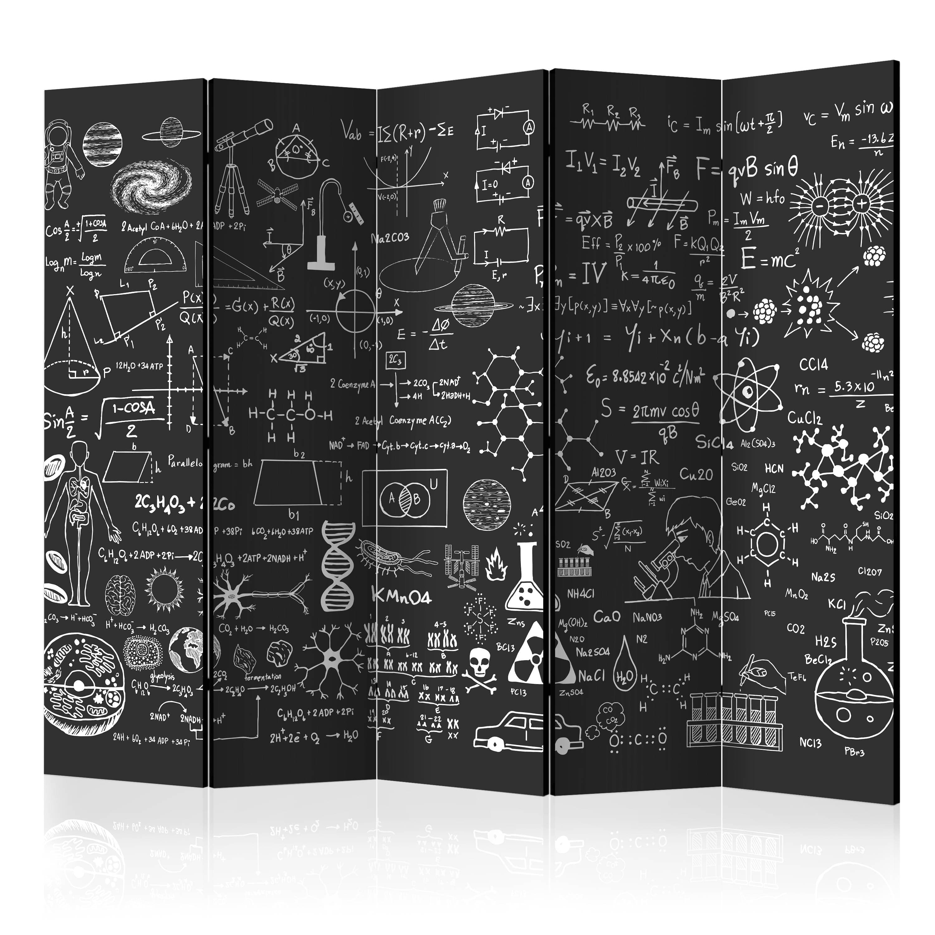Aizslietnis 5-daļīgs - Zinātne uz tāfeles (225x172cm) 225x172 cm Home Trends