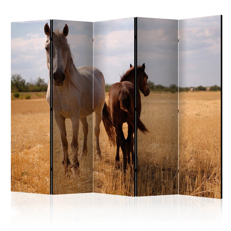 Aizslietnis 5-daļīgs - Zirgs un kumeļš (225x172cm) 225x172 cm Home Trends