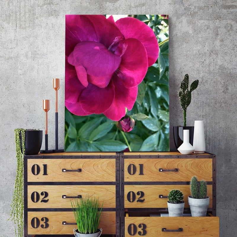 Dekoratīvais panelis - A Large Pink Flower  Home Trends Deco