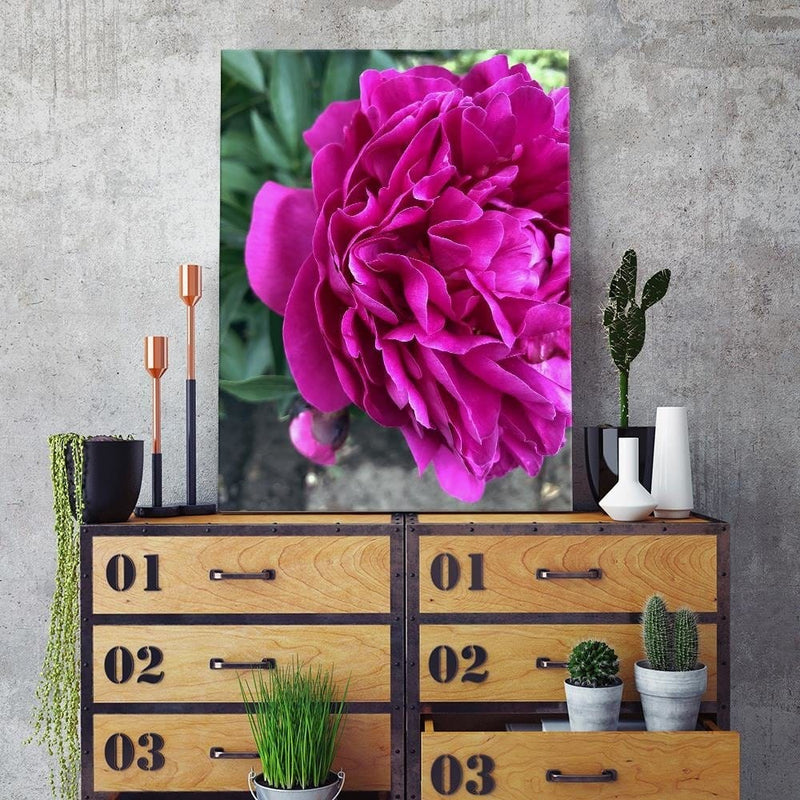 Dekoratīvais panelis - A Large Pink Flower  Home Trends Deco