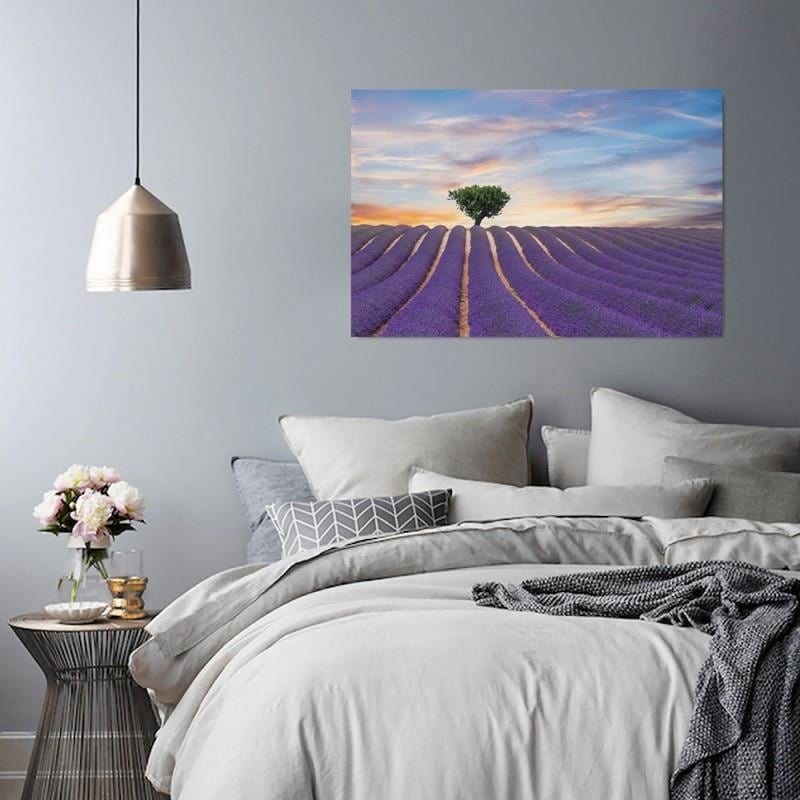 Dekoratīvais panelis - A Lavender Field  Home Trends Deco