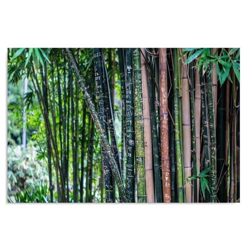 Dekoratīvais panelis - Bamboo 3  Home Trends Deco