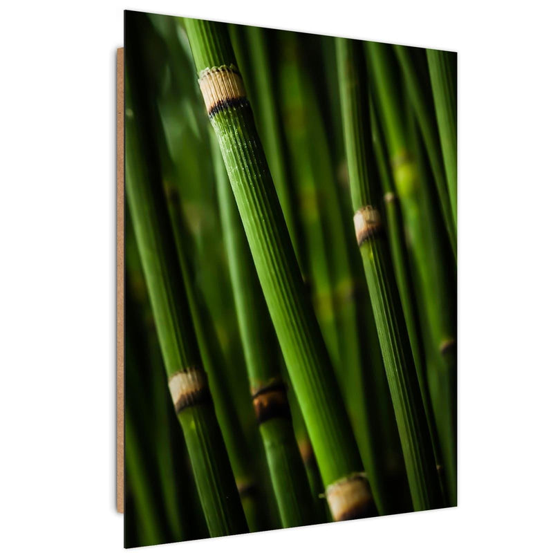 Dekoratīvais panelis - Bamboo Forest  Home Trends Deco