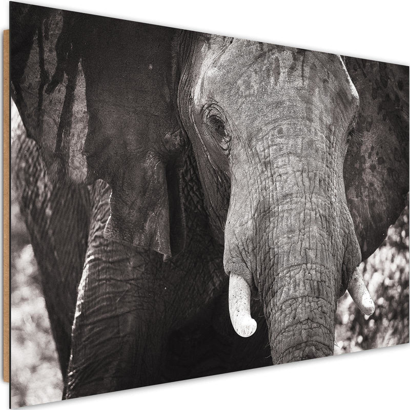Dekoratīvais panelis - BlackAndWhite Elephant  Home Trends Deco