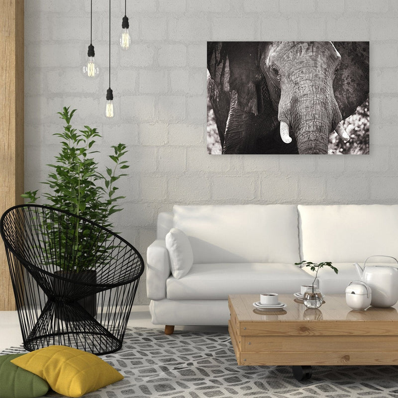 Dekoratīvais panelis - BlackAndWhite Elephant  Home Trends Deco