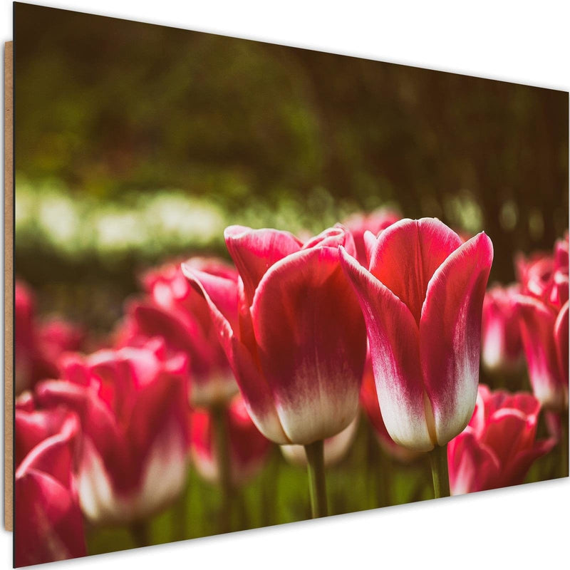 Dekoratīvais panelis - Blooming Tulip  Home Trends Deco