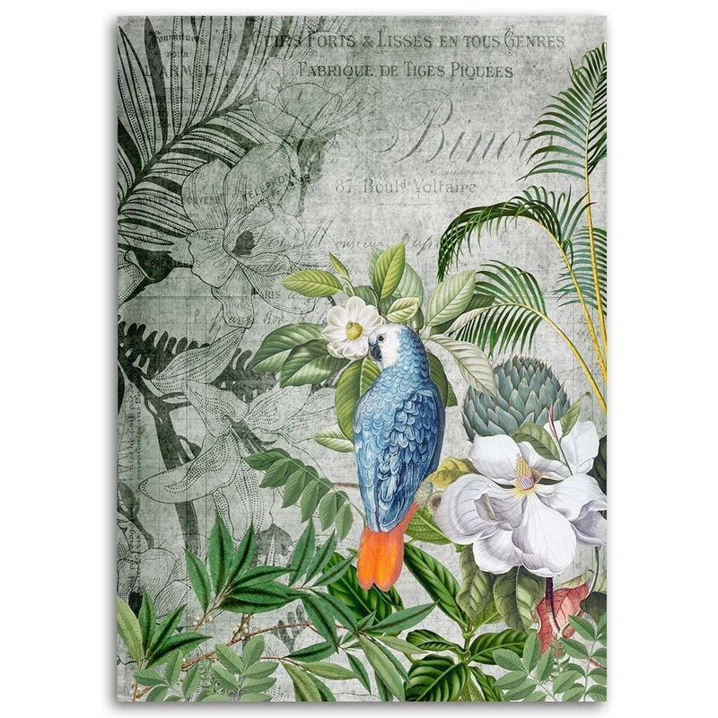 Dekoratīvais panelis - Blue Parrot  Home Trends Deco