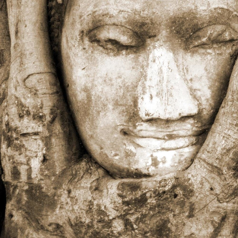 Dekoratīvais panelis - Buddha Head In The Tree 4  Home Trends Deco