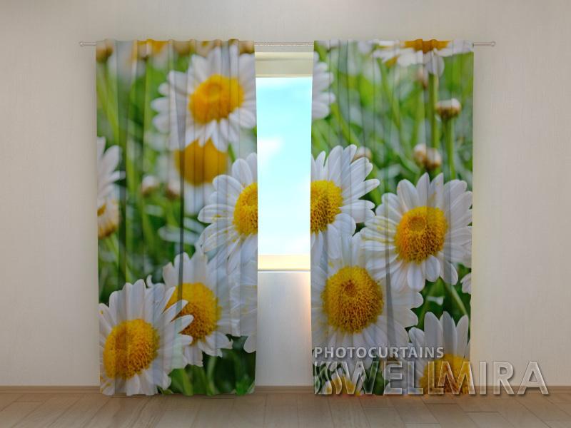 Dienas un nakts aizkari - Baltās kamolziedes 180 x 140 cm (2X 90x140 cm) / SCREEN E-interjers.lv