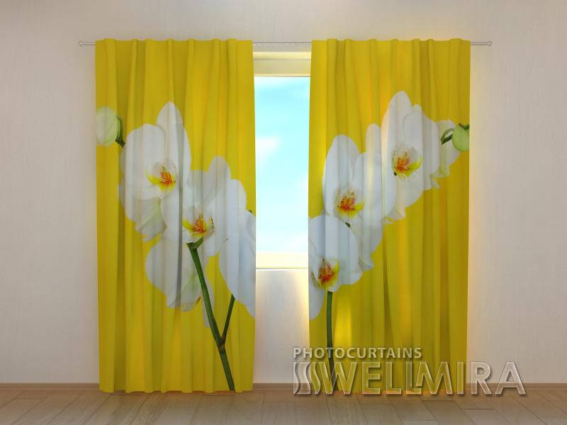 Dienas un nakts aizkari - Baltās orhidejas 180 x 140 cm (2X 90x140 cm) / SCREEN E-interjers.lv