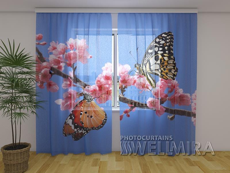 Dienas un nakts aizkari - Divi tauriņi 180 x 140 cm (2X 90x140 cm) / Сaurspīdīgs šifons E-interjers.lv