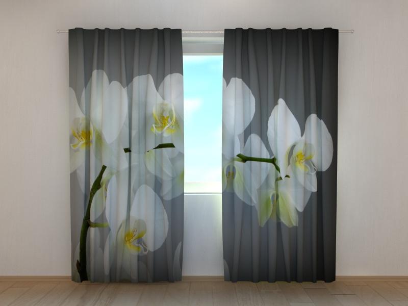 Dienas un nakts aizkari - Dziesmu orhidejas 180 x 140 cm (2X 90x140 cm) / SCREEN E-interjers.lv