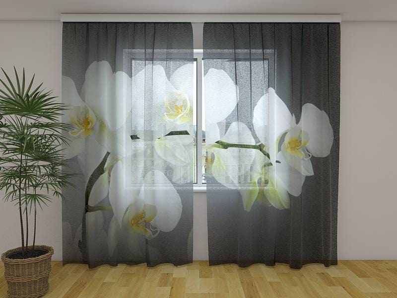 Dienas un nakts aizkari - Dziesmu orhidejas 180 x 140 cm (2X 90x140 cm) / Сaurspīdīgs šifons E-interjers.lv