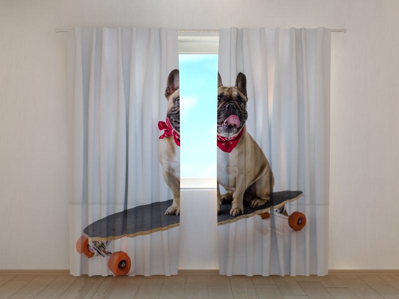 Dienas un nakts aizkari - Franču buldogs uz skeitborda 180 x 140 cm (2X 90x140 cm) / SCREEN E-interjers.lv