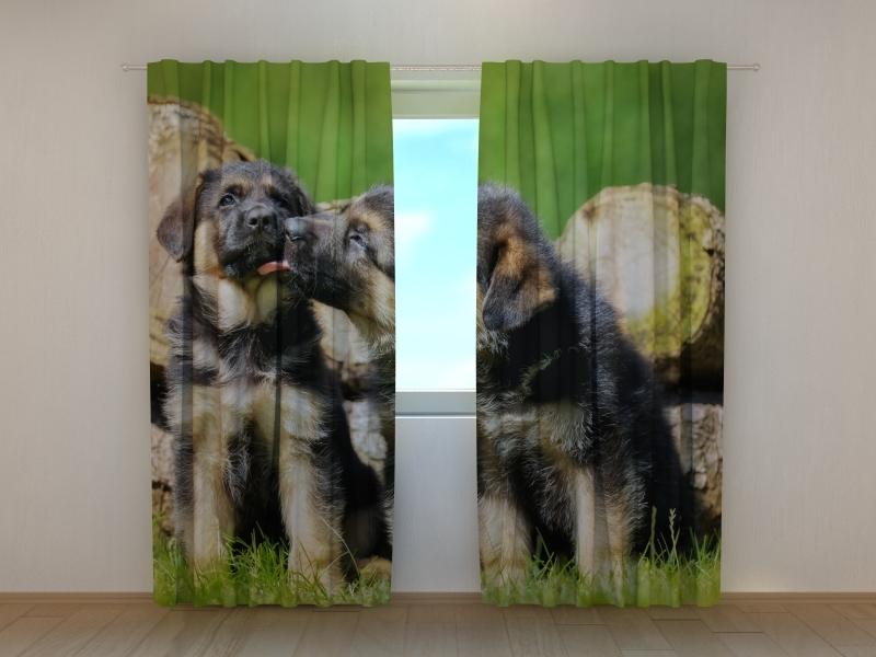 Dienas un nakts aizkari - Jauki vācu aitu suņuki 180 x 140 cm (2X 90x140 cm) / SCREEN E-interjers.lv