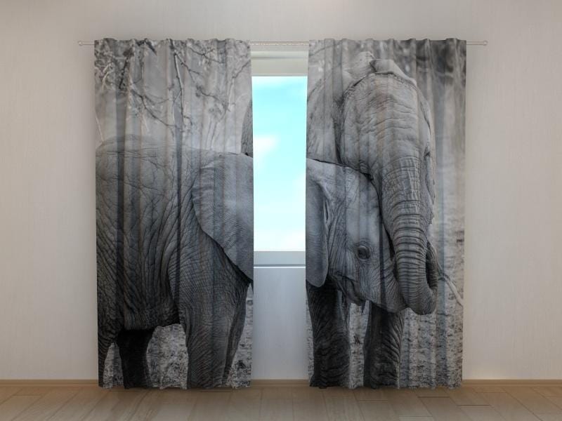 Dienas un nakts aizkari - Jaunie ziloņi melnā un baltā krāsā 180 x 140 cm (2X 90x140 cm) / SCREEN E-interjers.lv
