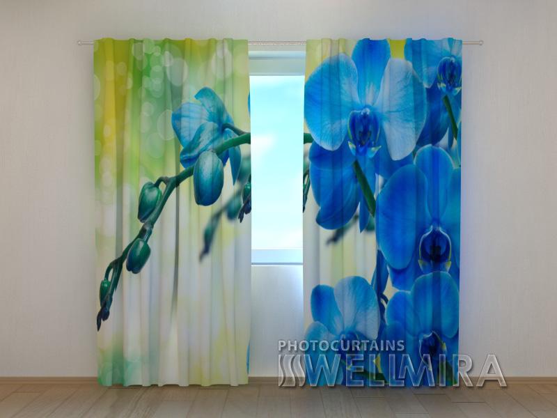 Dienas un nakts aizkari - Karaliskā orhideja 180 x 140 cm (2X 90x140 cm) / SCREEN E-interjers.lv