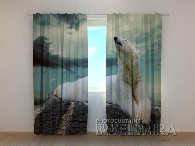 Dienas un nakts aizkari - Leduslācis 180 x 140 cm (2X 90x140 cm) / SCREEN E-interjers.lv