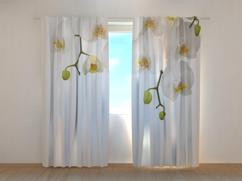 Dienas un nakts aizkari - Lielās orhidejas 180 x 140 cm (2X 90x140 cm) / SCREEN E-interjers.lv