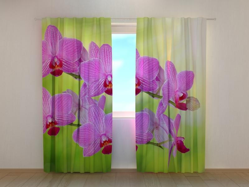 Dienas un nakts aizkari - Orhideju romantika 180 x 140 cm (2X 90x140 cm) / SCREEN E-interjers.lv